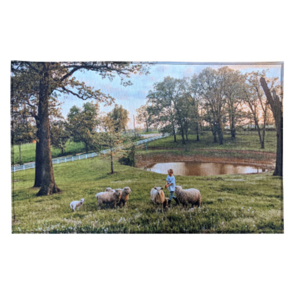 20" X 31" Indoor Rug Thumbnail
