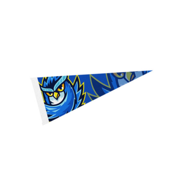 4" x 10" Pennant Thumbnail