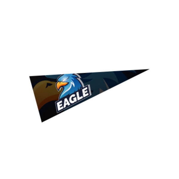 5" x 12" Pennant Thumbnail