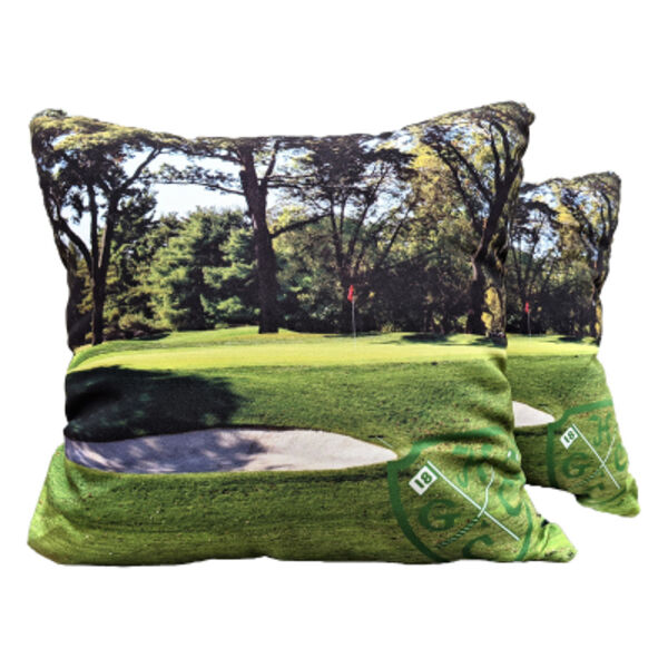 Medium Full Color Throw Pillow Thumbnail